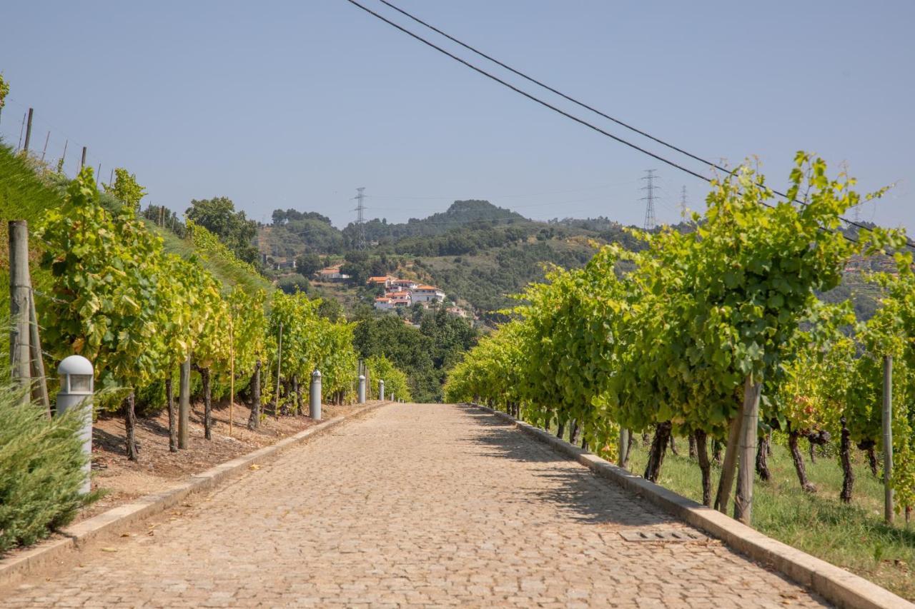 Апартаменты Quinta Da Granja Байан Экстерьер фото